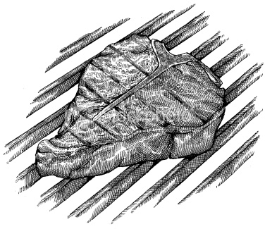Steak Sketch