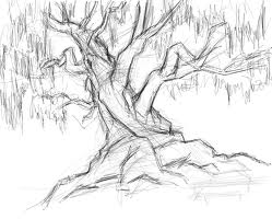 Tree Sketch