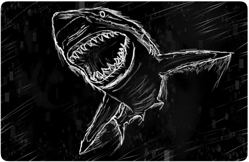 Shark Sketch Shark Sketch