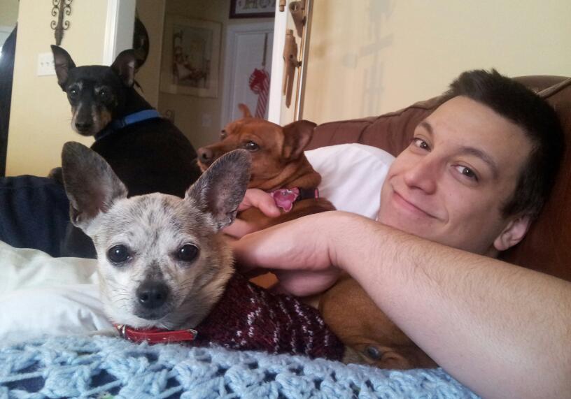 Scribbles and Doby and Jeny Scribbles and Doby and Jeny