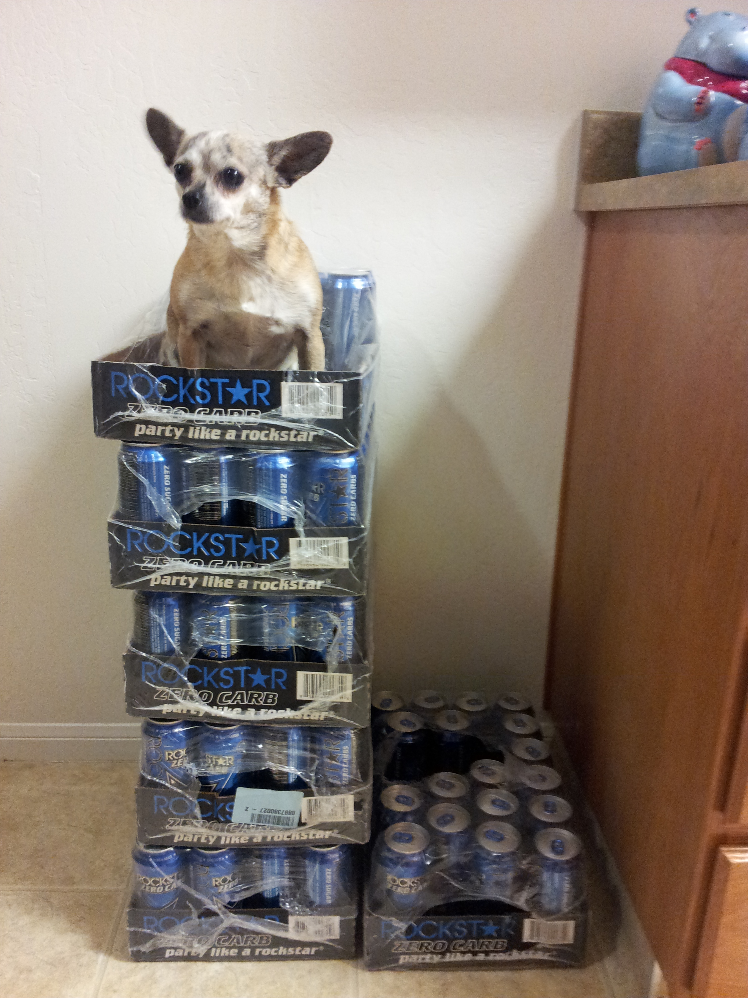 Scribbles and Energy Drinks Scribbles and Energy Drinks