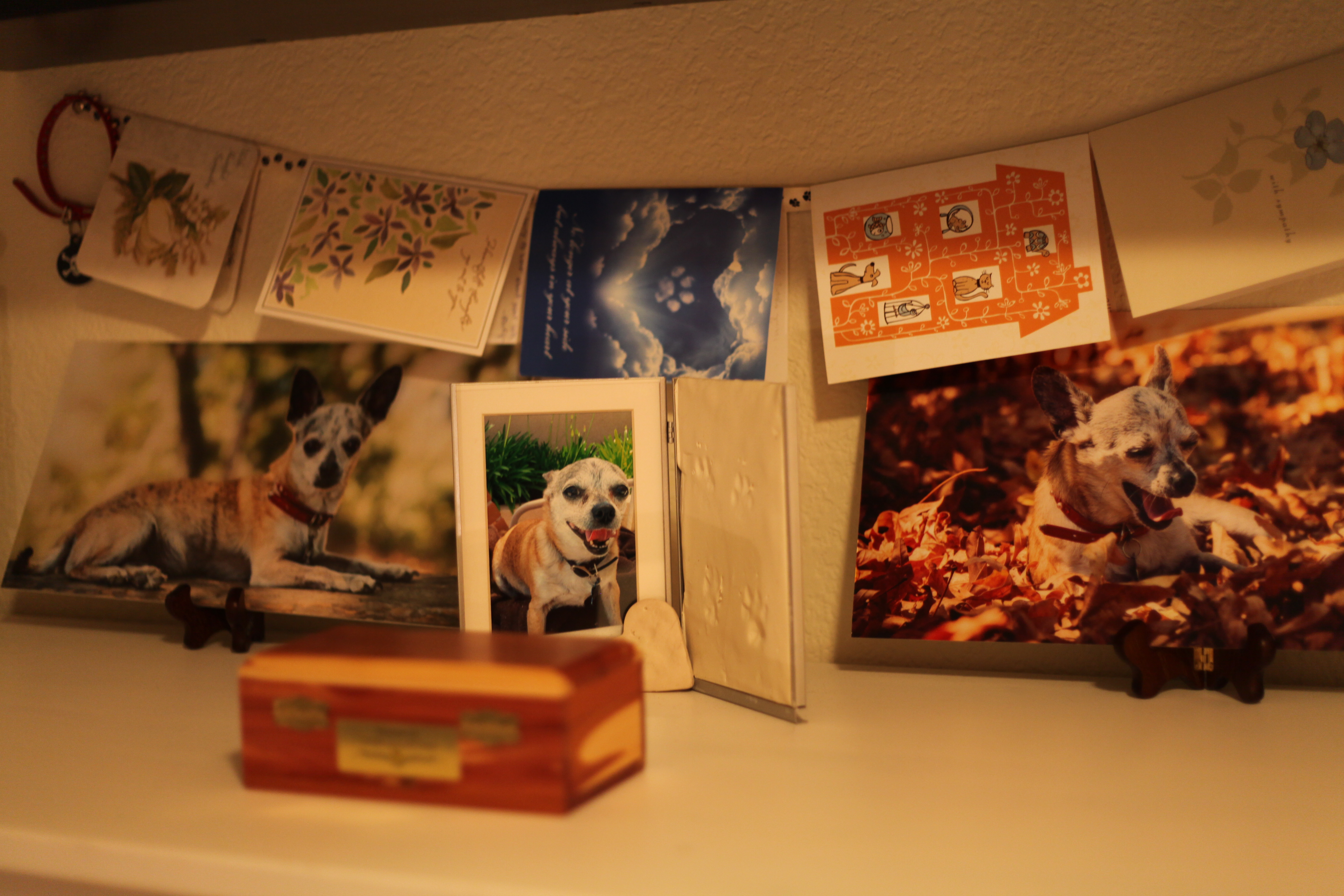 Scribbles Resting Scribbles Resting