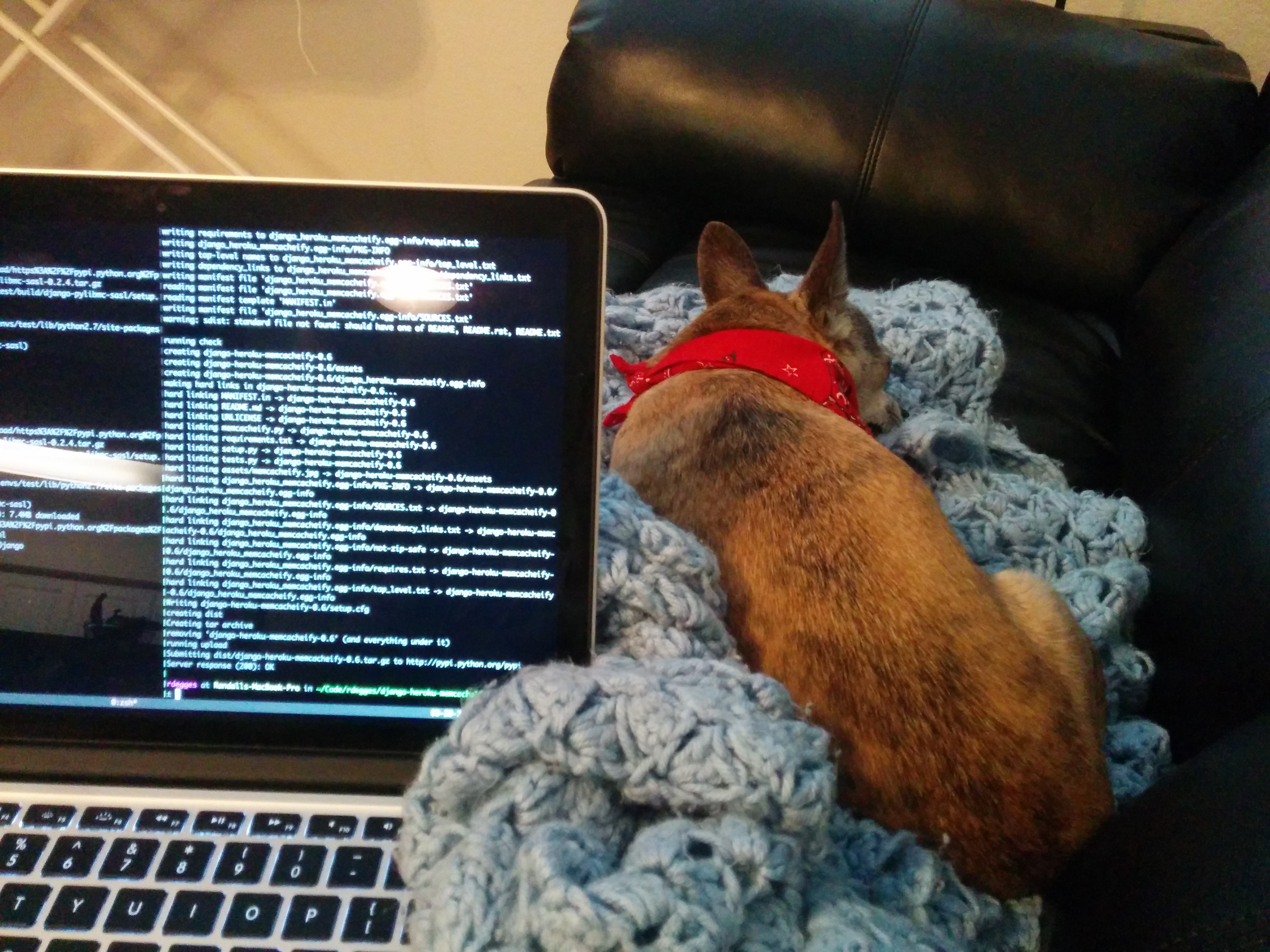 Scribbles Working with Randall Scribbles Working with Randall